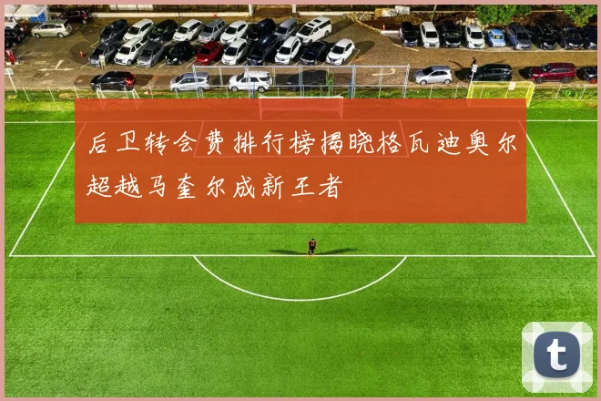后卫转会费排行榜揭晓格瓦迪奥尔超越马奎尔成新王者